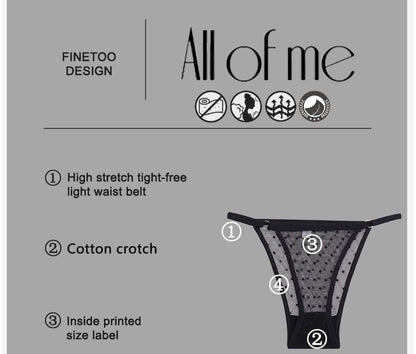 4 Pack Lace Panties Underwear Mesh Transparent Lingerie Soft Intimate Underpants Plus Size Underwear The Clothing Company Sydney