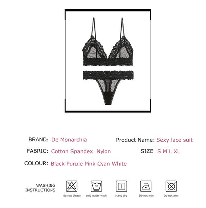 2 Piece Lingerie Set Lace Transparent Bra Set Dot Mesh Bralette Push Up Brassiere T Back Panties Sets Backless V Neck Bra The Clothing Company Sydney