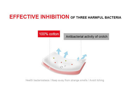 2 Piece Lingerie Set Lace Transparent Bra Set Dot Mesh Bralette Push Up Brassiere T Back Panties Sets Backless V Neck Bra The Clothing Company Sydney