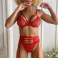 3 Piece Underwear Set Mesh Lace Transparent Bra Lingerie Set The Clothing Company Sydney