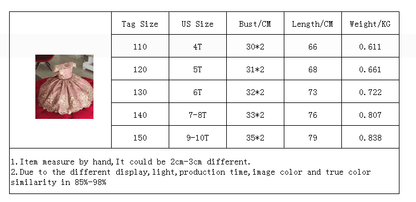 Embroidery Flower Wedding Evening Children Clothing Princess Party Kids Dresses for Girls Birthday Party Lace Flower Ball Gown The Clothing Company Sydney