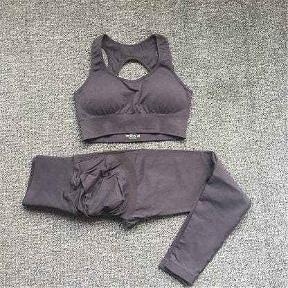 Seamless Women Fitness Arise Epic Yoga Sets High Waist Gym Scrunch Leggings Sports Bra Workout Active Wear Suits The Clothing Company Sydney