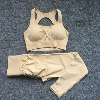 Seamless Women Fitness Arise Epic Yoga Sets High Waist Gym Scrunch Leggings Sports Bra Workout Active Wear Suits The Clothing Company Sydney