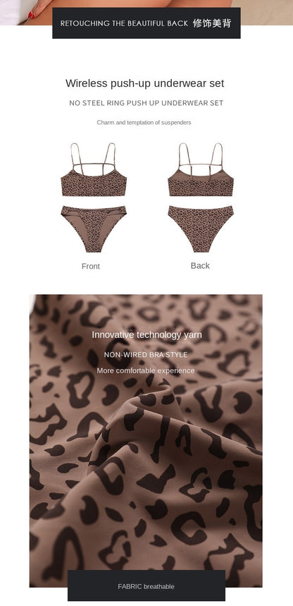 Leopard Print Women's Underwear Set Bra Brief Sets Seamless Bralette Lingerie Set The Clothing Company Sydney