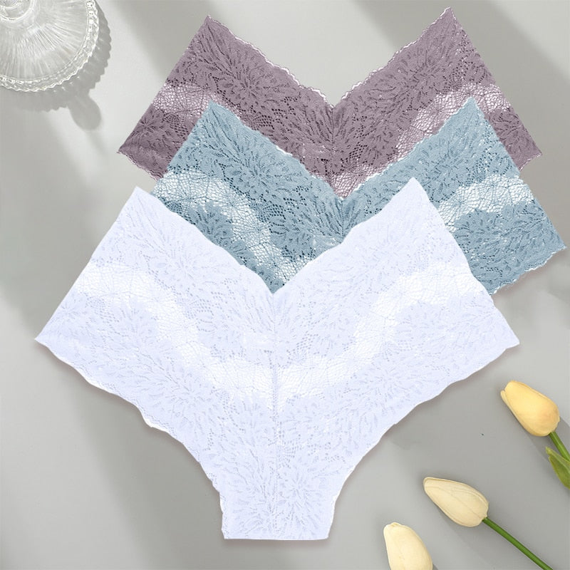 3 Pack Set Floral Lace Panties Transparent High Waist Sexy Lingerie Brazilian Pantys Underwear Intimates The Clothing Company Sydney