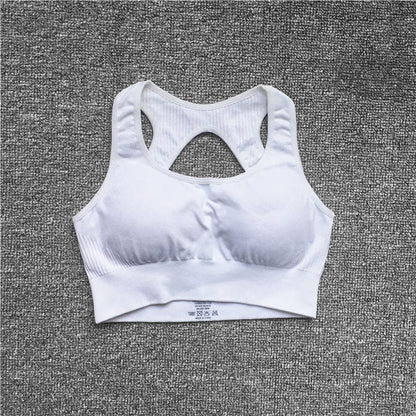 Seamless Women Fitness Arise Epic Yoga Sets High Waist Gym Scrunch Leggings Sports Bra Workout Active Wear Suits The Clothing Company Sydney