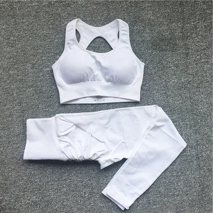 Seamless Women Fitness Arise Epic Yoga Sets High Waist Gym Scrunch Leggings Sports Bra Workout Active Wear Suits The Clothing Company Sydney