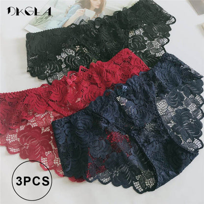 3 Piece Lace Underwear  Plus Size Low rise Transparent Embroidered Panties The Clothing Company Sydney