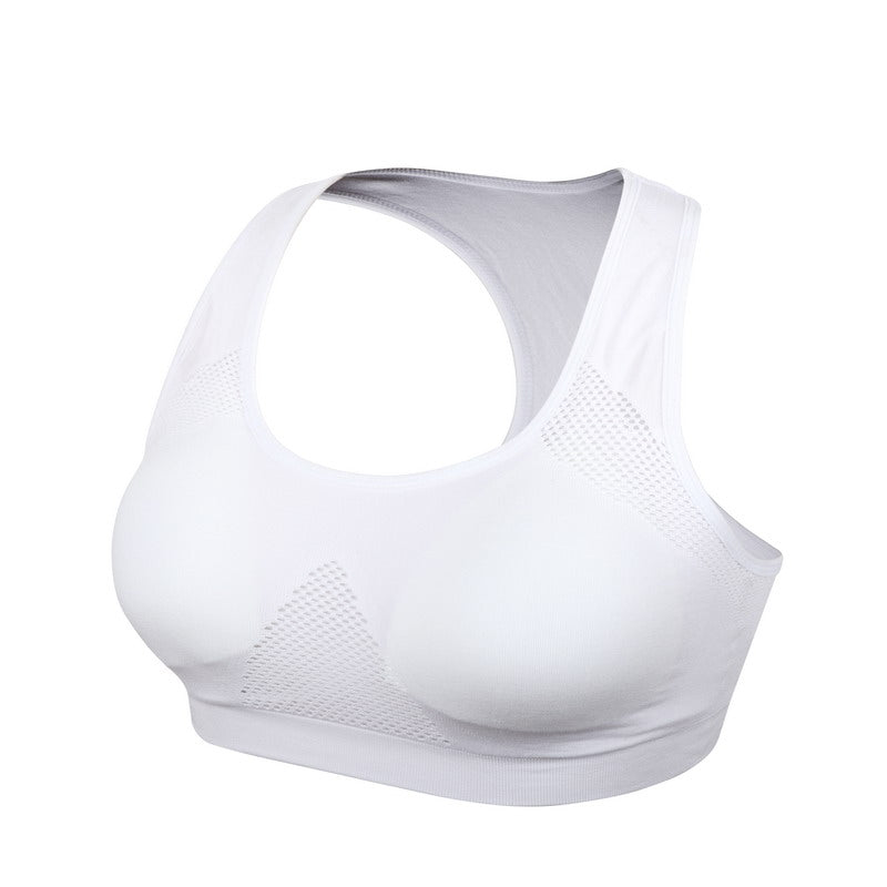 Breathable Sports Bra Absorbent Sweat Shockproof Padded Sports Bra Top Athletic Gym Running Fitness Yoga Sports Top The Clothing Company Sydney