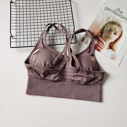 Sports Yoga Running Top With Pads Sportswear Push Up Training Women Fitness Gym High Impact Criss Cross Bra The Clothing Company Sydney