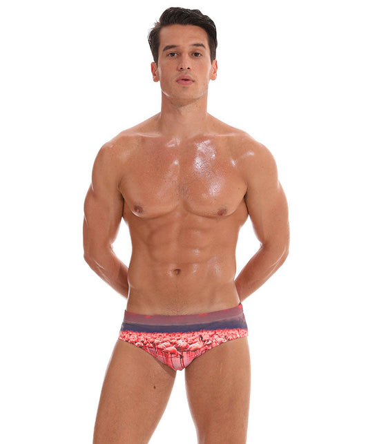 Men's Swimwear Low Boxers Swim Sportive Beachwear Shorts Swimsuit Brief in 16 Colours The Clothing Company Sydney