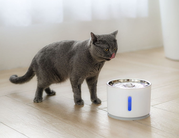 2.4L Automatic Pet Cat Water Fountain with LED Electric USB Dog Cat Pet Mute Drinker Feeder Bowl Pet Drinking Fountain Dispenser The Clothing Company Sydney