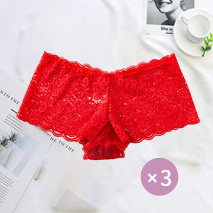 3 Pack Underwear Lingerie Sexy Lace Transparent Panties Briefs High Quality Low Waist Women's Underpants The Clothing Company Sydney