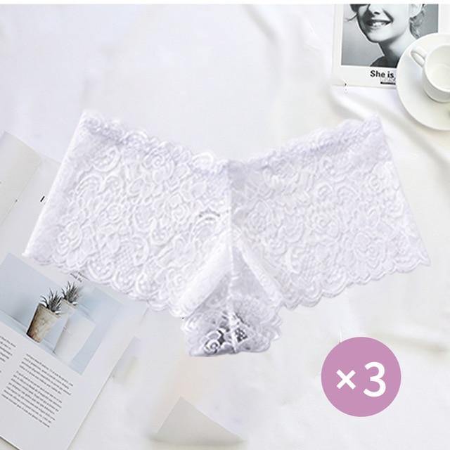 3 Pack Underwear Lingerie Sexy Lace Transparent Panties Briefs High Quality Low Waist Women's Underpants The Clothing Company Sydney