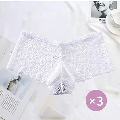 3 Pack Underwear Lingerie Sexy Lace Transparent Panties Briefs High Quality Low Waist Women's Underpants The Clothing Company Sydney