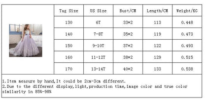 Princess Girls Formal Party Kids Long Flower Dress Wedding Evening Party Prom Ball Gown The Clothing Company Sydney