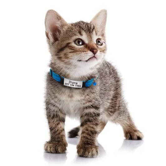 Nylon Cat Collar Personalized Pet Collars With Name ID Tag Reflective Kitten Collars Necklace For Pets Dog Accessories The Clothing Company Sydney