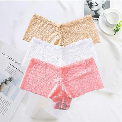 3 Pack Underwear Lingerie Sexy Lace Transparent Panties Briefs High Quality Low Waist Women's Underpants The Clothing Company Sydney