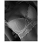 Sexy Push-up Bra And Panty Hollow Brassiere Gather Sexy Bra Embroidery Lace Lingerie Set The Clothing Company Sydney