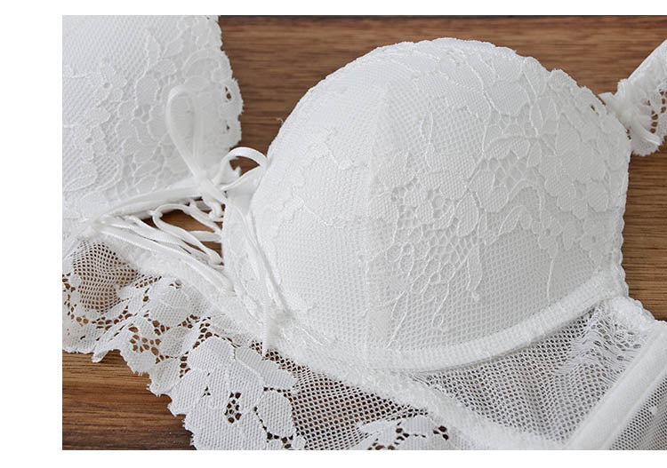 Sexy Push-up Bra And Panty Hollow Brassiere Gather Sexy Bra Embroidery Lace Lingerie Set The Clothing Company Sydney