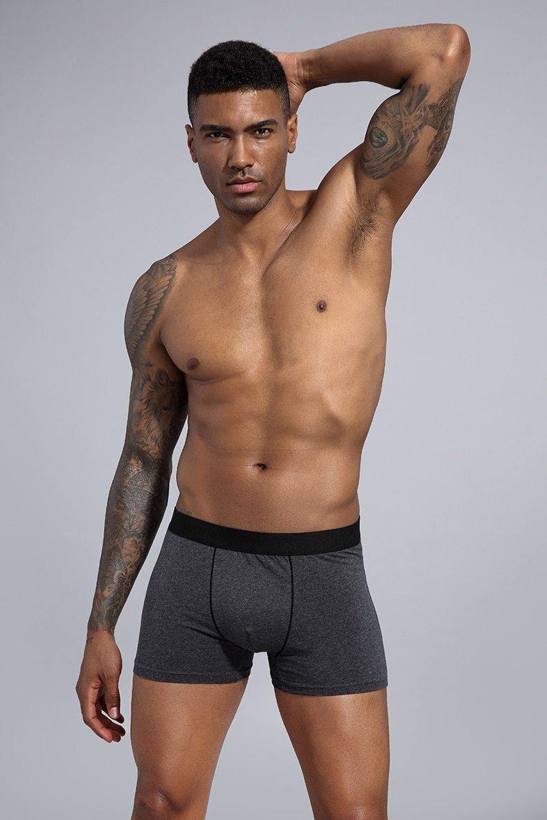 Men's Boxers European Size Underwear Cotton Shorts Breathable Boxers Underpants The Clothing Company Sydney