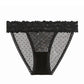 Dot Mesh Lace Underwear Low-waist Briefs Transparent intimates Lingerie Thong Sexy Panties The Clothing Company Sydney