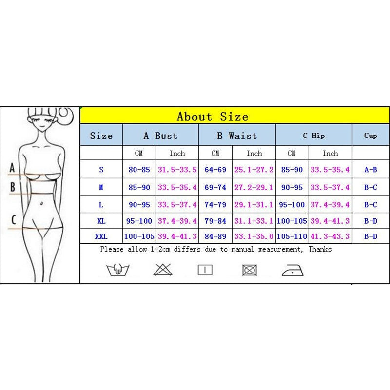 2 Piece Ruffle Push Up Bikini Set Micro Swimsuits Women Swimwear Thong Bathing Suit Sexy Swimming Suit The Clothing Company Sydney