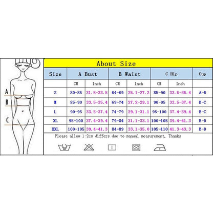 2 Piece Ruffle Push Up Bikini Set Micro Swimsuits Women Swimwear Thong Bathing Suit Sexy Swimming Suit The Clothing Company Sydney