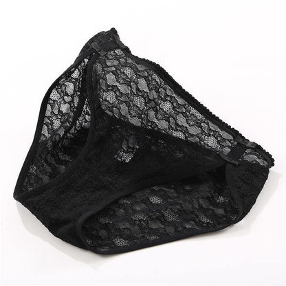 1 and 2PC Lace Underwear Cotton Crotch Briefs Underpants Floral Mesh Lingerie Panties The Clothing Company Sydney