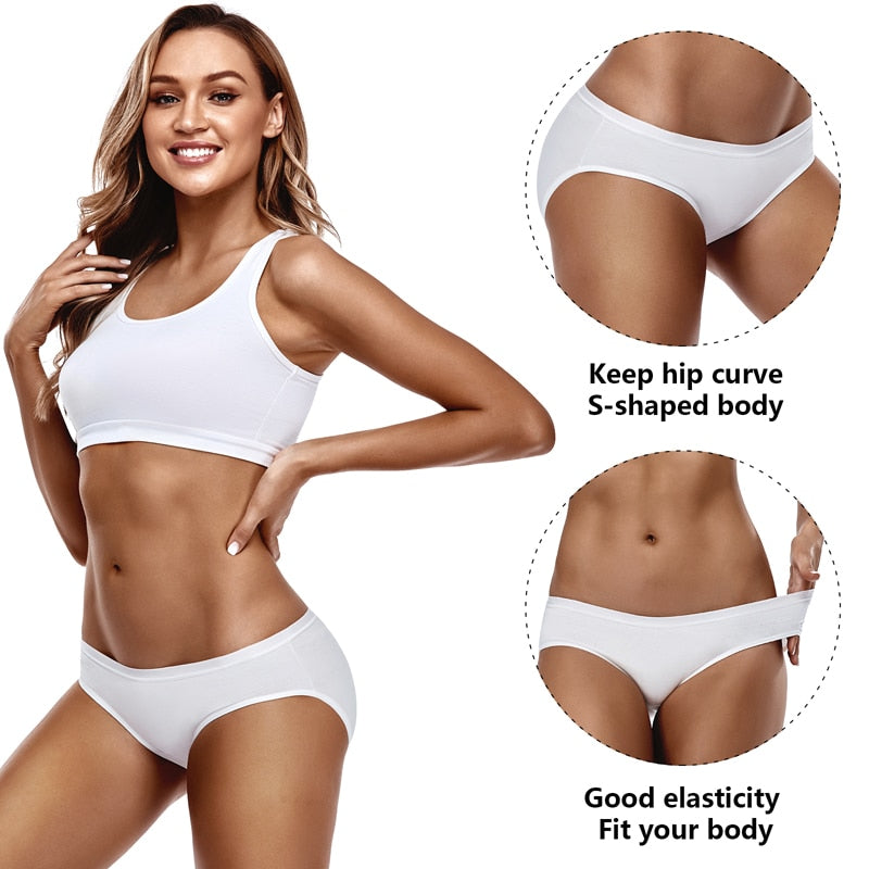 6 Pack Women's Cotton Mix Panties Low-Rise Comfortable Underwear Solid Color Breathable Briefs Seamless Intimates The Clothing Company Sydney