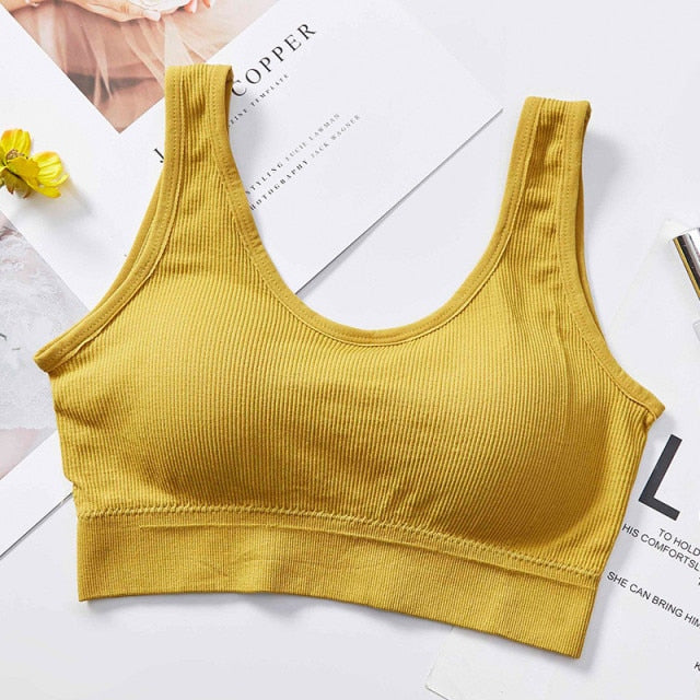 Tube Crop Top Seamless Underwear V-Back Wrapped Chest Streetwear Sleeveless Fitness Bandeau Bra Bralette The Clothing Company Sydney