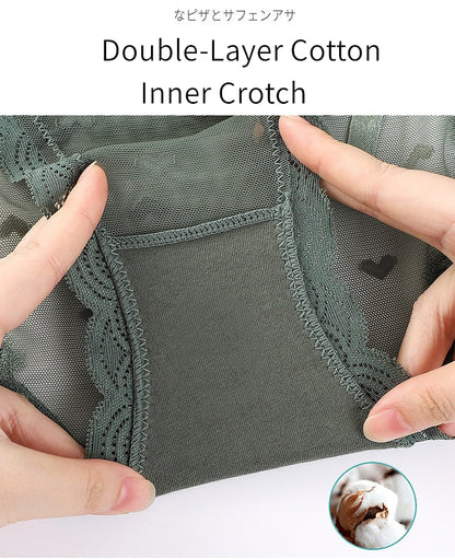 Underwear Panties Sensual Lingerie Lace Thongs Low-Waist Translucent G-Strings Bandage Briefs The Clothing Company Sydney