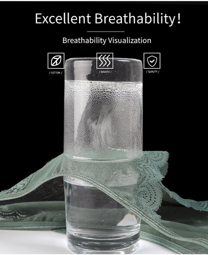 Underwear Panties Sensual Lingerie Lace Thongs Low-Waist Translucent G-Strings Bandage Briefs The Clothing Company Sydney