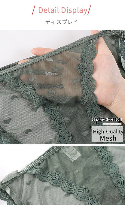 Underwear Panties Sensual Lingerie Lace Thongs Low-Waist Translucent G-Strings Bandage Briefs The Clothing Company Sydney