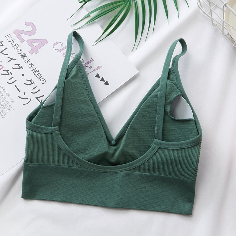 Ladies Tube Top Streetwear Sleeveless Cami Seamless Sports Lingerie Tee Bra Crop Top Bandeau Top Bralette The Clothing Company Sydney