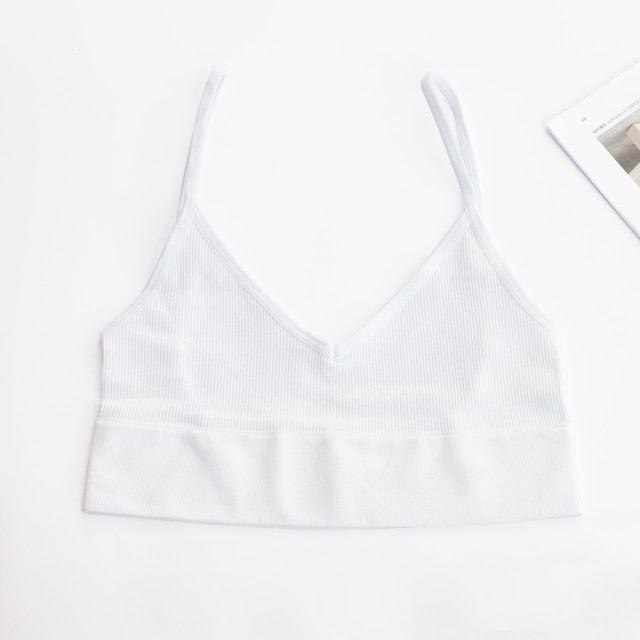 Crop Tops Bra Tube Top Streetwear Sleeveless Seamless Sports Bra Crop Camis Top Tee Bandeau Top Basic Tank The Clothing Company Sydney