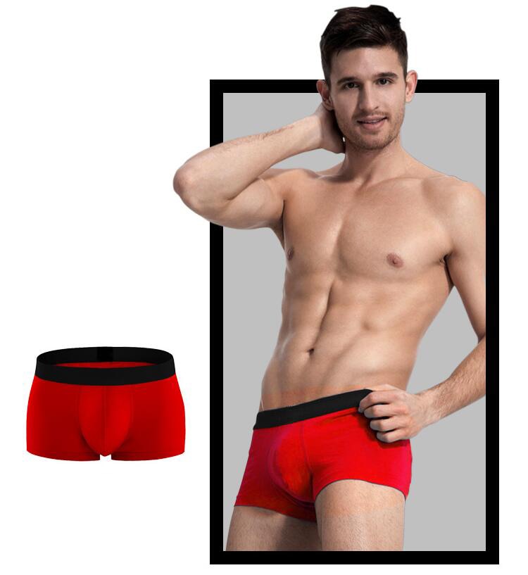 4 Pack Cotton Shorts Men's Panties Shorts Home Underpants Men Trunks Underwear Boxers The Clothing Company Sydney