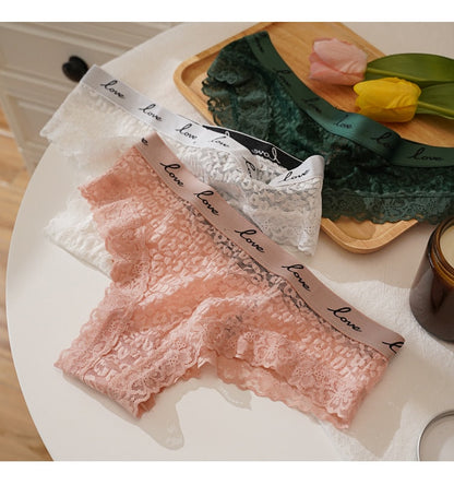 Lace Panties Low-waist Underwear  G String Transparent Lingerie LOVE Letter Embroidery Intimates Briefs The Clothing Company Sydney
