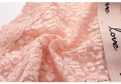 Lace Panties Low-waist Underwear  G String Transparent Lingerie LOVE Letter Embroidery Intimates Briefs The Clothing Company Sydney