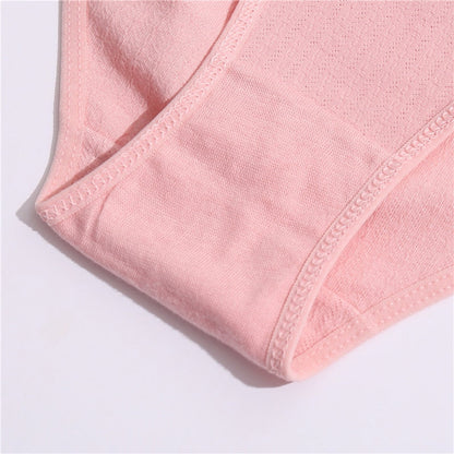 3 Pack Cotton Mix Panties Jacquard Design Pattern Panties Underwear Lingerie Briefs Solid Color Intimate Pantys The Clothing Company Sydney