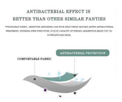 3 Pack Cotton Mix Panties Jacquard Design Pattern Panties Underwear Lingerie Briefs Solid Color Intimate Pantys The Clothing Company Sydney