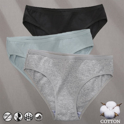 3 Pack Cotton Mix Panties Jacquard Design Pattern Panties Underwear Lingerie Briefs Solid Color Intimate Pantys The Clothing Company Sydney