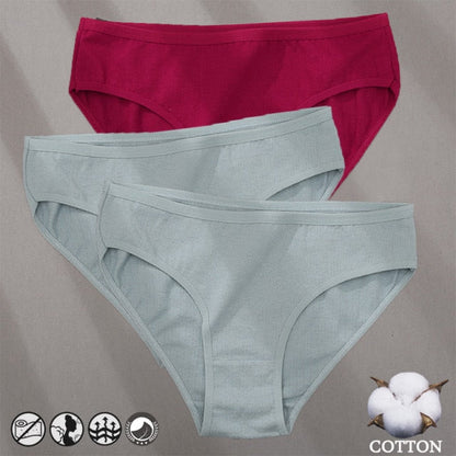 3 Pack Cotton Mix Panties Jacquard Design Pattern Panties Underwear Lingerie Briefs Solid Color Intimate Pantys The Clothing Company Sydney