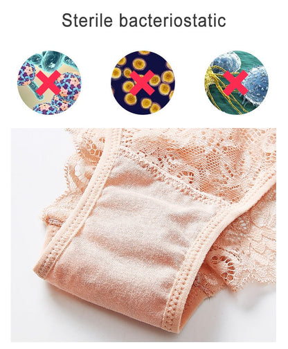 4 Pack Mid-rise Underwear High-end Lace Panties Briefs The Clothing Company Sydney