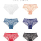 4 Pack Mid-rise Underwear High-end Lace Panties Briefs The Clothing Company Sydney