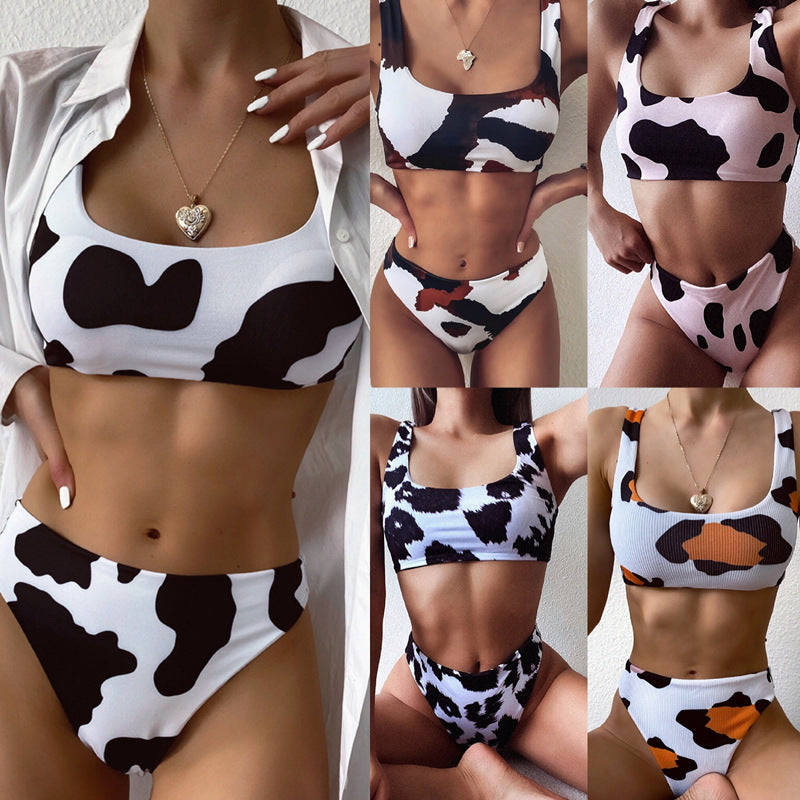 2 Piece Cow Print Bikini Cut Out Push Up Swimsuit Brazilian Summer Bathing Suit High Waist Swimwear The Clothing Company Sydney
