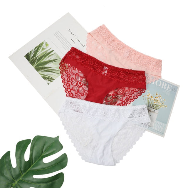 3 Pack Lace Underwear Panties Set Intimate Lingerie Cotton Briefs Transparent Undies The Clothing Company Sydney