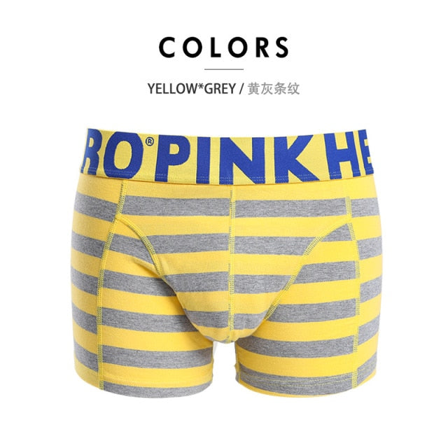 Men's Stripe Fashion Male Underpants boxer mens underwear boxers boxershorts Trunks The Clothing Company Sydney